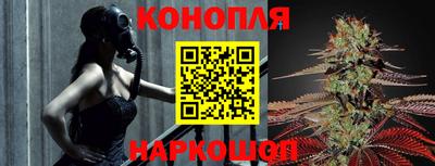 прущие крисы Малгобек