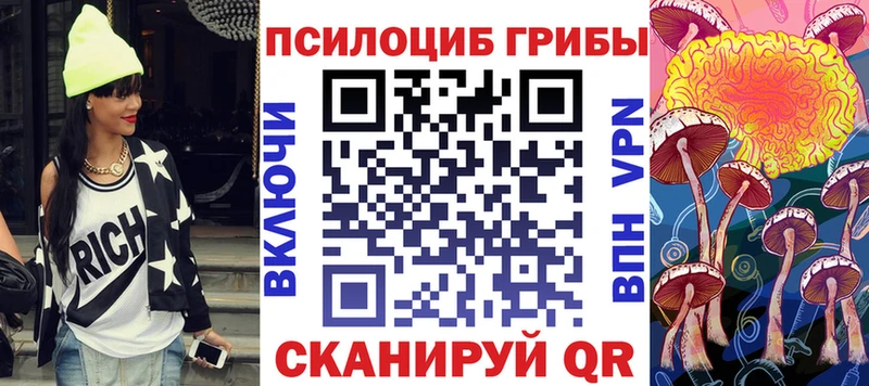 ссылка на мегу маркетплейс  Казань  Псилоцибиновые грибы ЛСД 