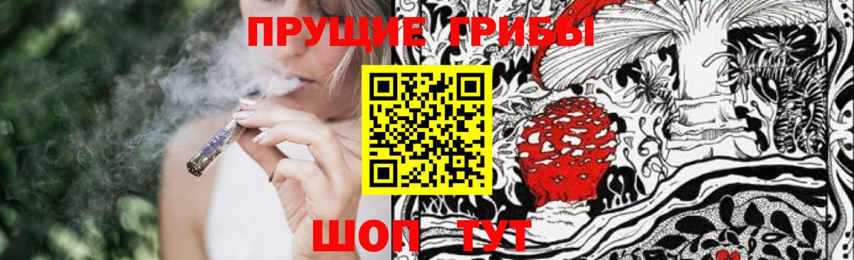 хочу наркоту  Галлюциногенные грибы Psilocybe  Вход с VPN  Казань 