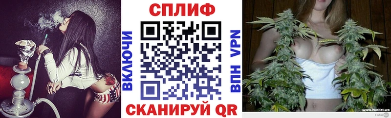 Конопля ГИДРОПОН  купить наркотики сайты  Казань 